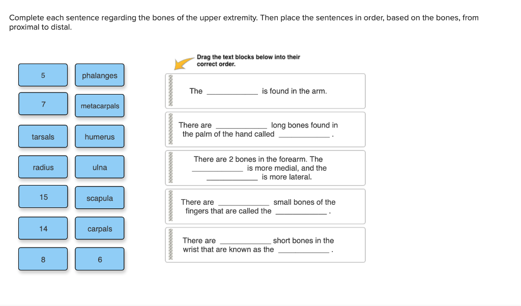 Solved Complete each sentence regarding the bones of the