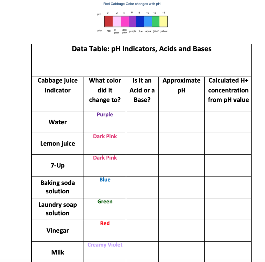 Solved Red Cabbage Color changes with pH 0 8 2 4 10 14 pH