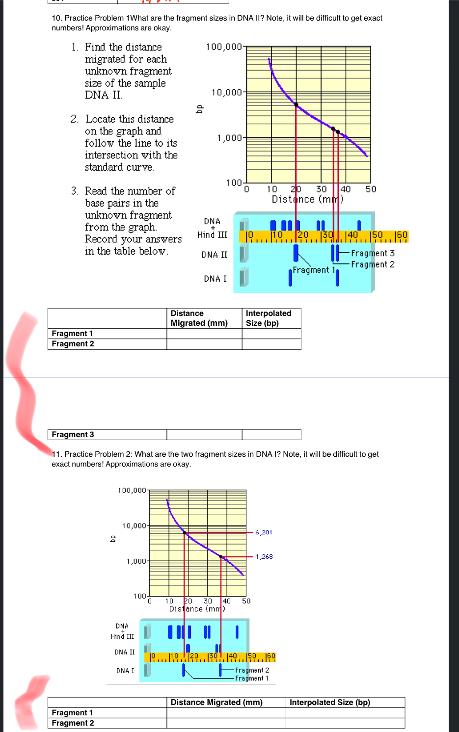 Solved 10. Practice Problem 1 What are the fragment sizes in | Chegg.com