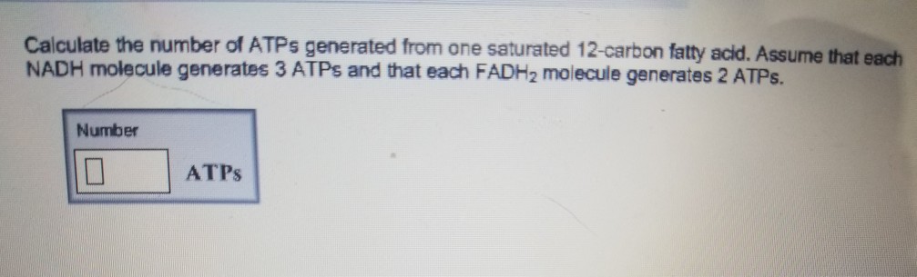 Solved Calculate The Number Of Atps Generated From One