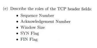 Solved (e) Describe the roles of the TCP header | Chegg.com