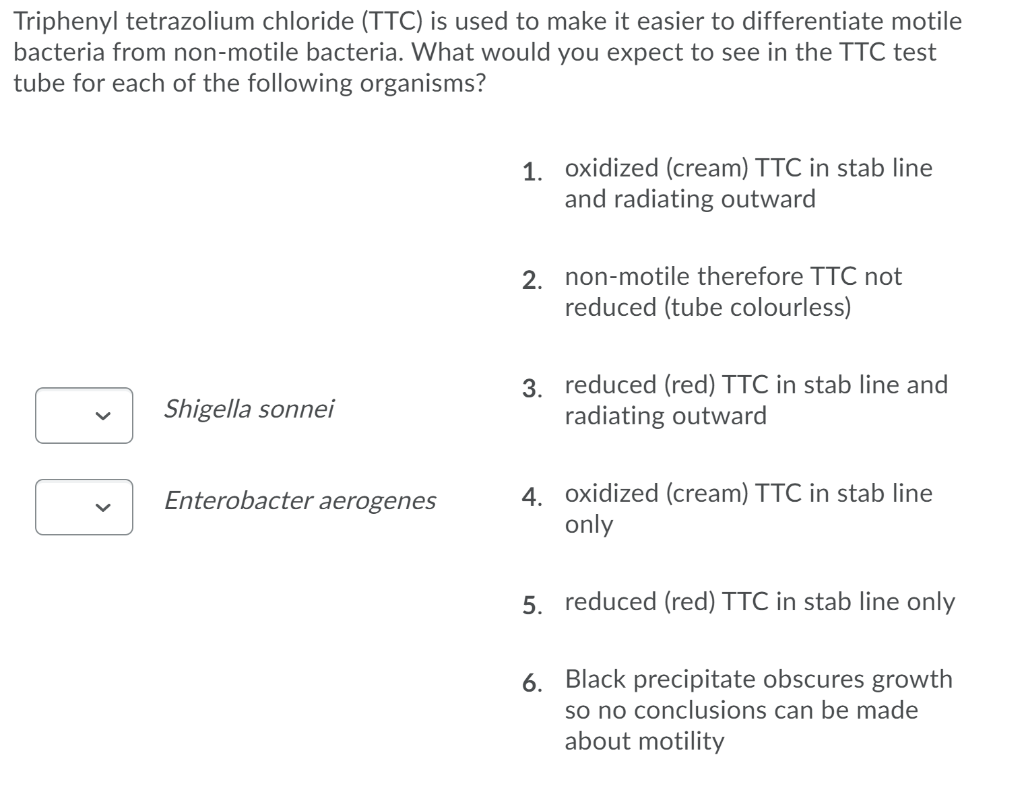 Solved Triphenyl Tetrazolium Chloride Ttc Is Used To Make