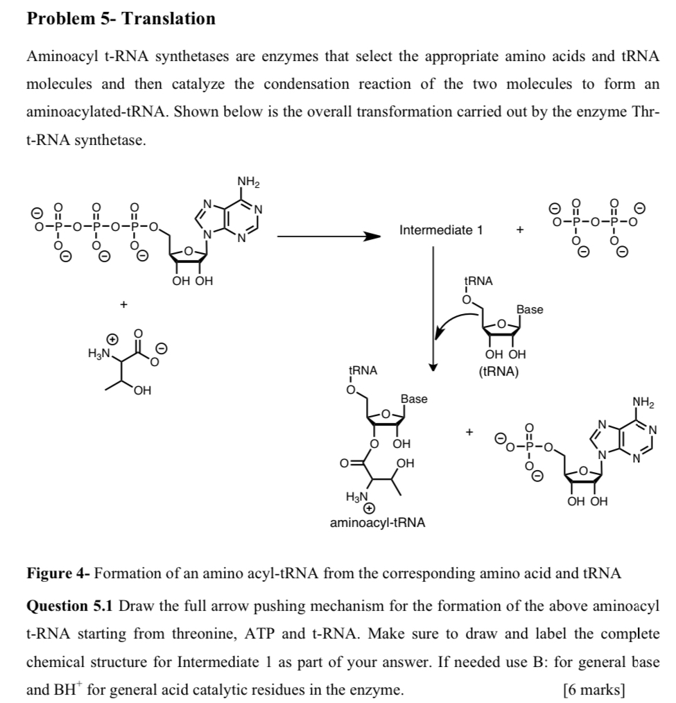 aminoacyl trna synthetase mechanism