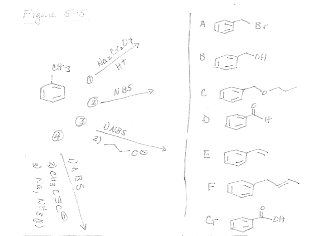 Solved See Figure 5-5. Match the reaction to its product. 1 | Chegg.com