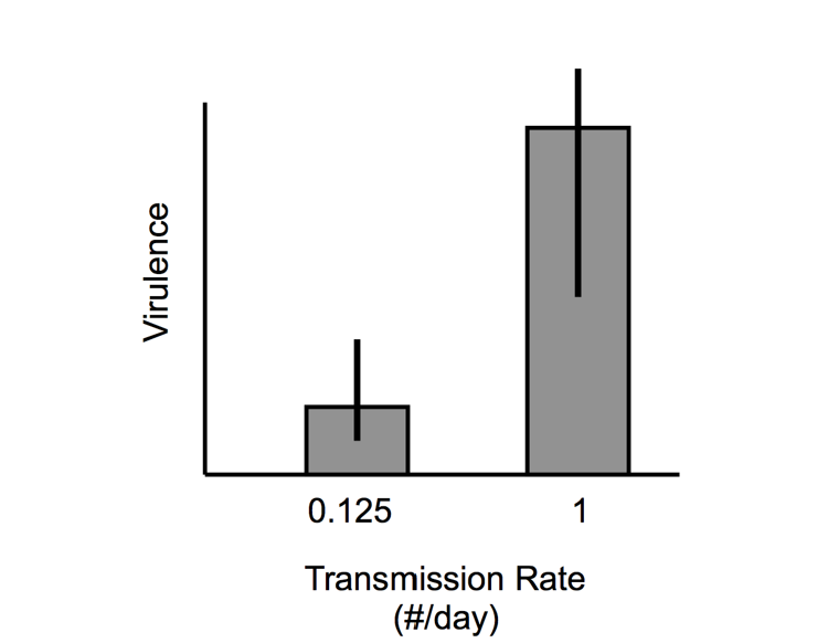 Solved using the graph below make a claim as to what the | Chegg.com