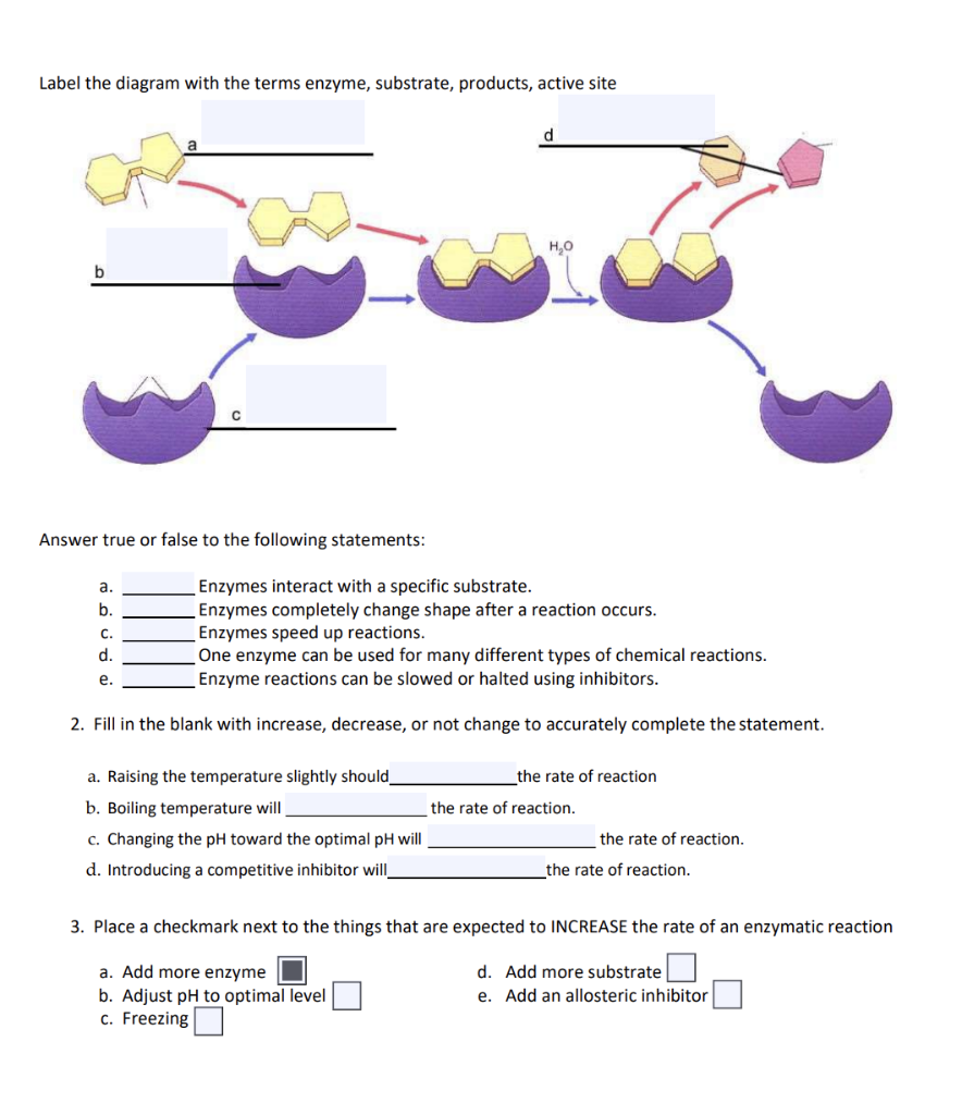 solved-part-i-explain-scientifically-what-is-occurring-in-chegg