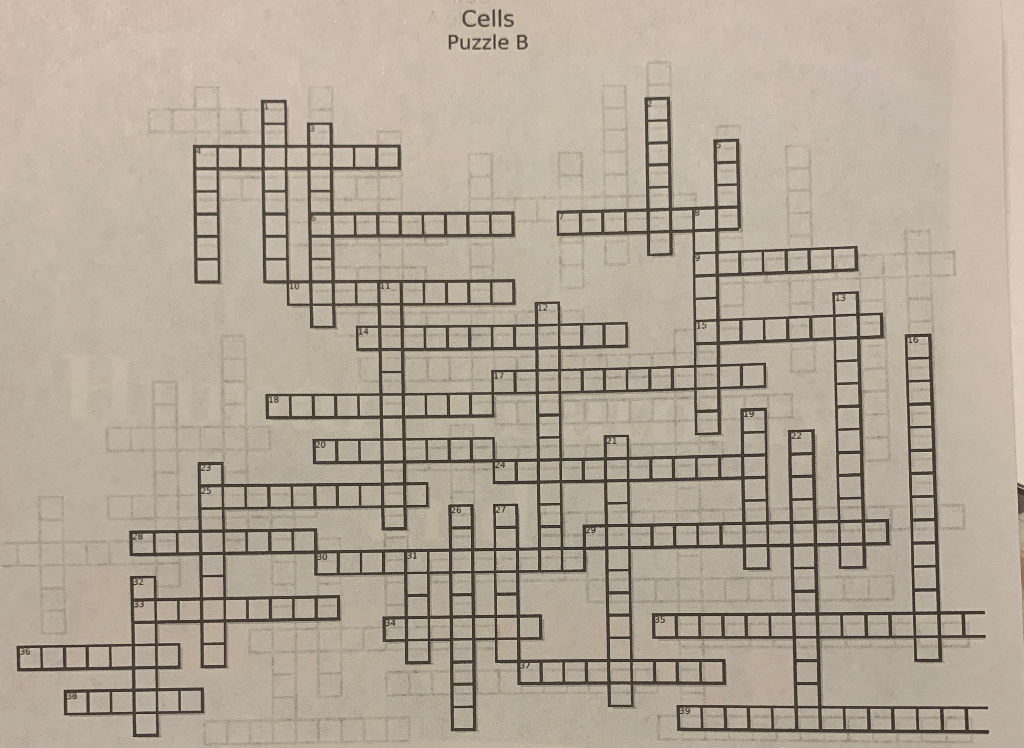 Solved Cells Crossword puzzle Please answer all questions | Chegg.com