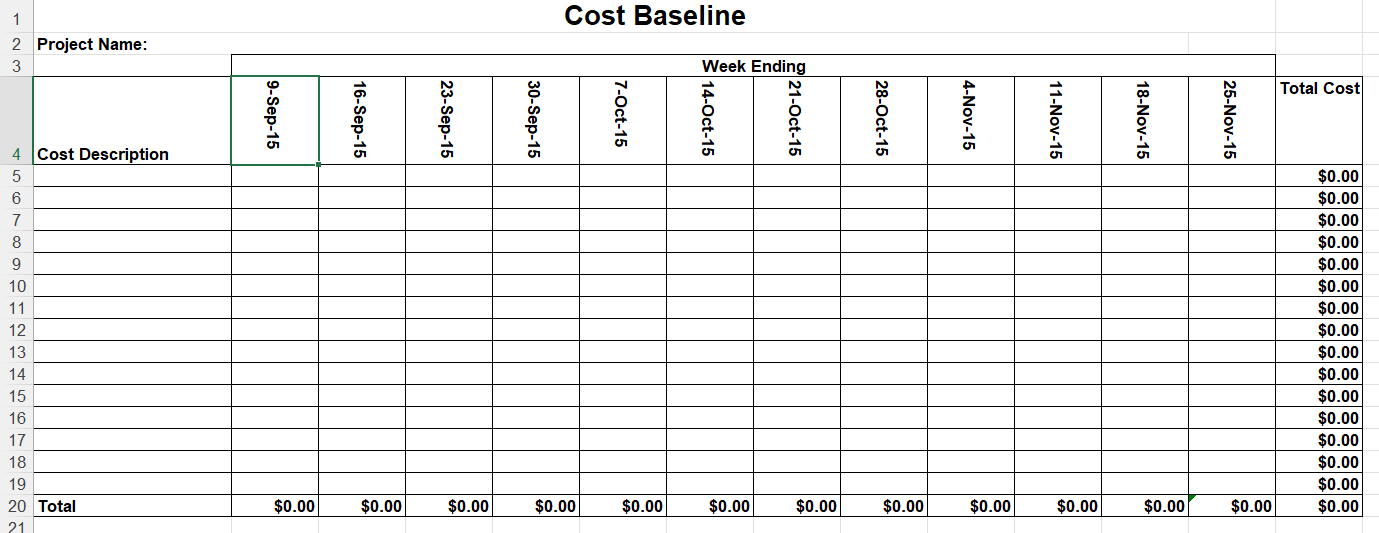 Create a BUDGET BASELINE in the given template below | Chegg.com