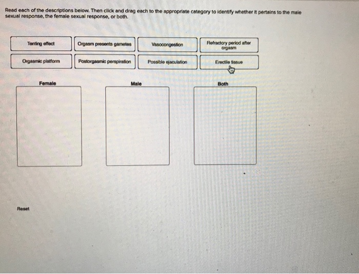 Solved Read each of the descriptions below. Then click and Chegg