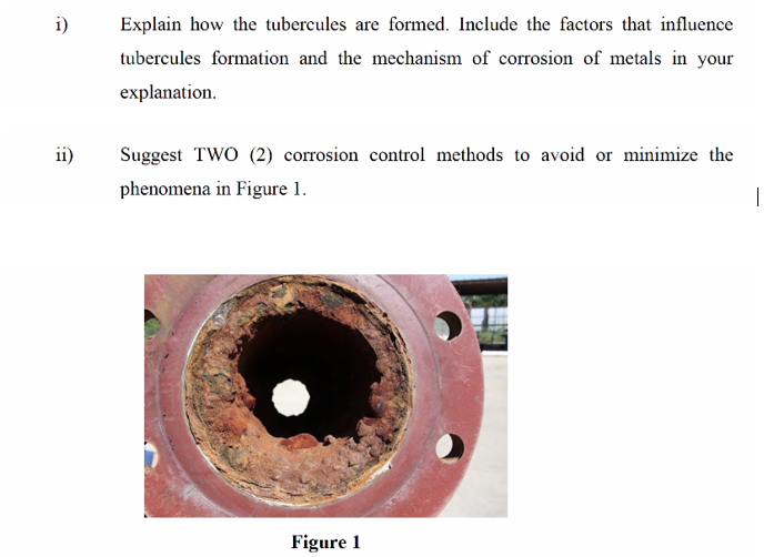 Tuberculation Solved i) Explain how the tubercules are formed. Include | Chegg.com