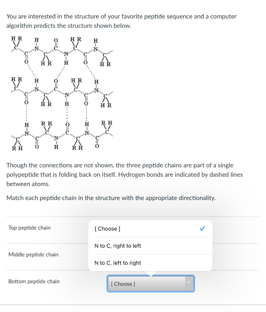 Solved You Are Interested In The Structure Of Your Favori Chegg Com