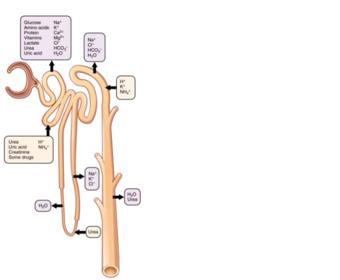 Solved 1. According to these diagrams, in which | Chegg.com