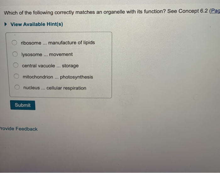 Solved Which of the following correctly matches an organelle