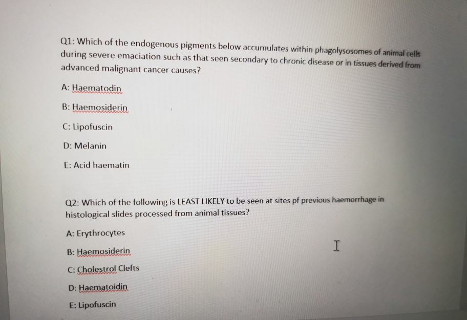 Solved Q1 Which of the endogenous pigments below