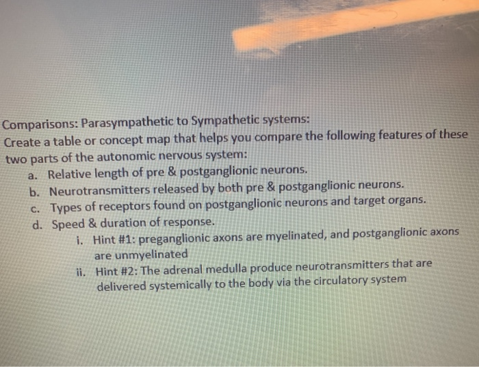 Solved Comparisons: Parasympathetic to Sympathetic systems: | Chegg.com
