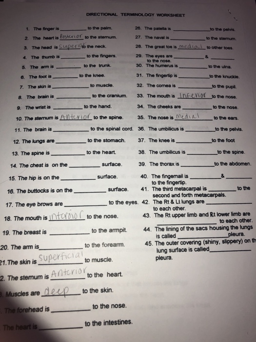 directional-terms-worksheet