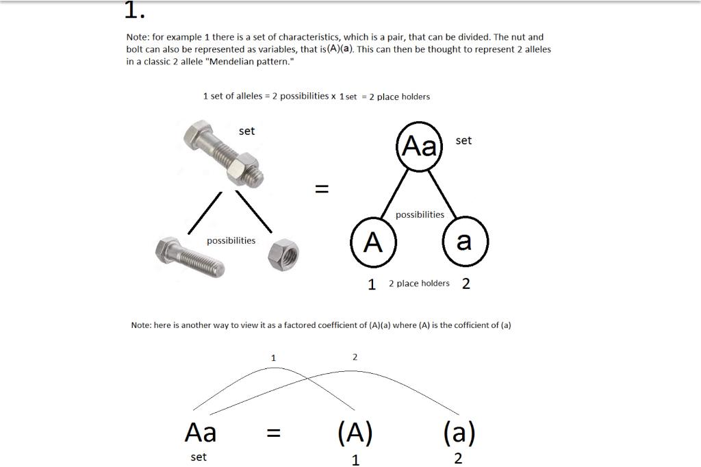 Solved img. Gamete Selection 1 Given: The parent cell has | Chegg.com