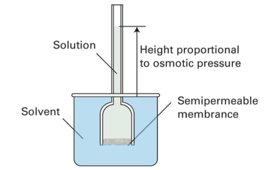 1) For a lecture demonstration, a solution of Bovine | Chegg.com