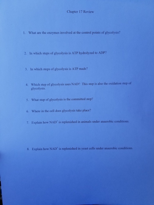 Solved Chapter 17 Review 1. What are the enzymes involved at | Chegg.com