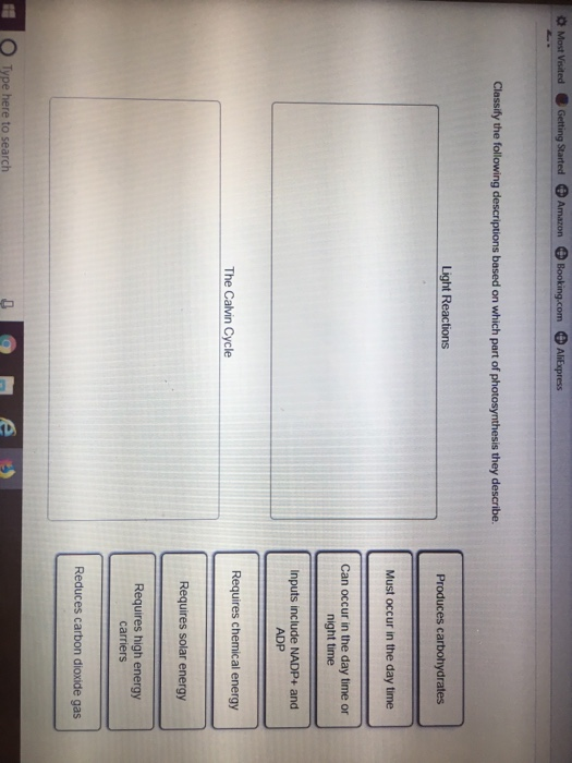 Solved Amazon Label the e parts of the photosynthetic