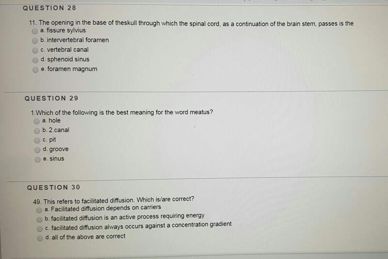 Solved QUESTION 28 11. The opening in the base of theskull | Chegg.com