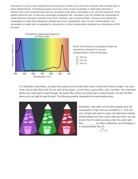 ️White Light Spectrum Worksheet Answers Free Download Gambr co