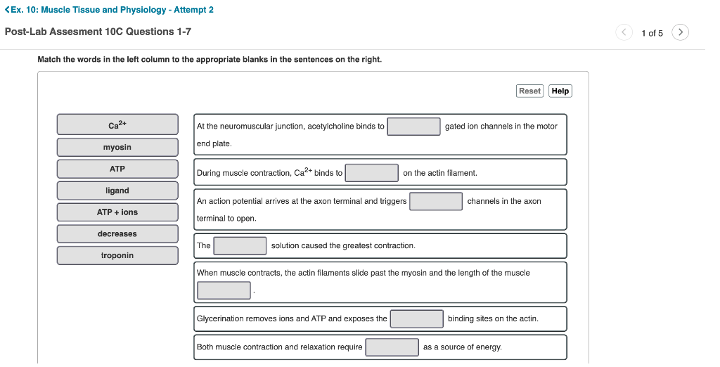 solved-match-the-words-in-the-left-column-to-the-appropriate-chegg