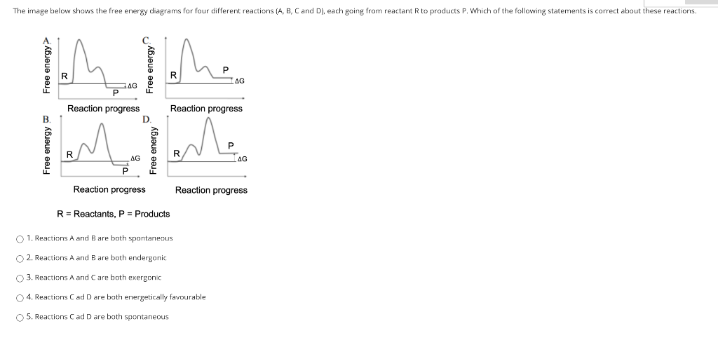 Solved The image below shows the free energy diagrams for | Chegg.com