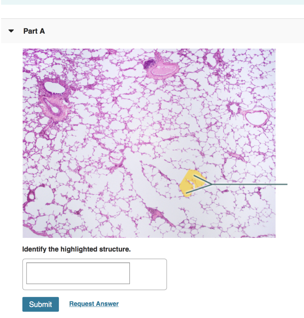 solved-part-a-identify-the-highlighted-structure-submit-chegg