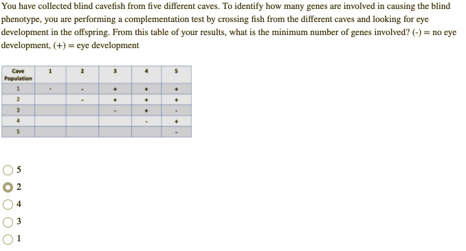 Solved You have collected blind cavefish from five different | Chegg.com