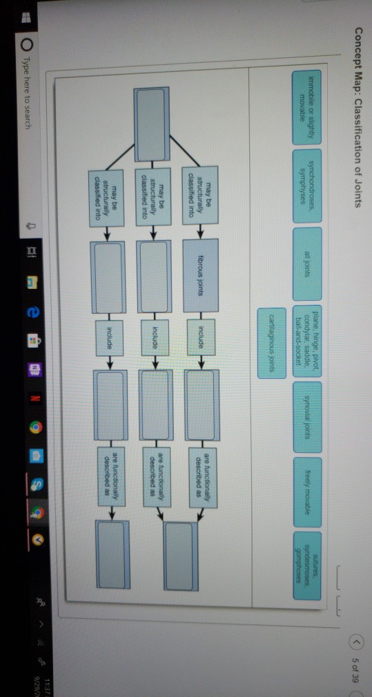 Solved Concept Map: Classification of Joints 5 of 39 all  Chegg.com