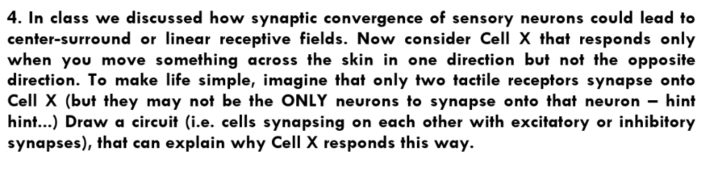 Solved 4. In class we discussed how synaptic convergence of | Chegg.com