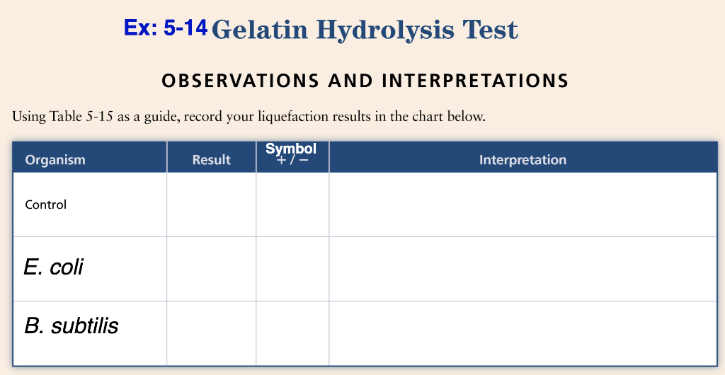 Solved Ex 514 Gelatin Hydrolysis Test OBSERVATIONS AND