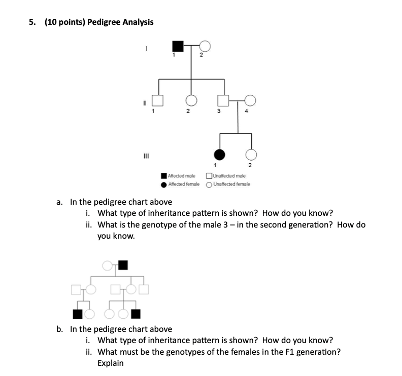 Solved 5. (10 points) Pedigree Analysis 1 3 III 2 Affected | Chegg.com