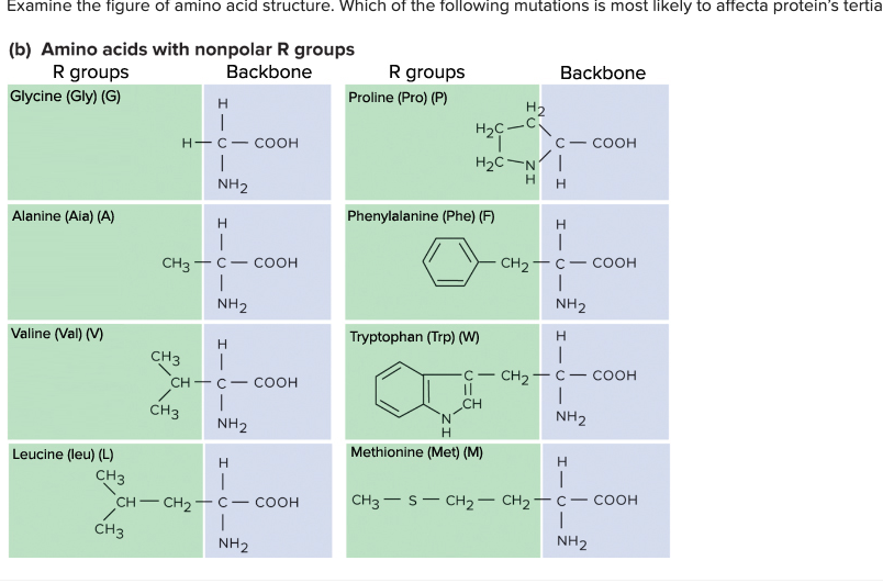 glycine amino acid structure