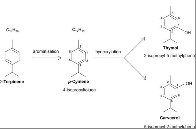 Solved C10H16 y-Terpinene aromatisation C10H14 2 | Chegg.com