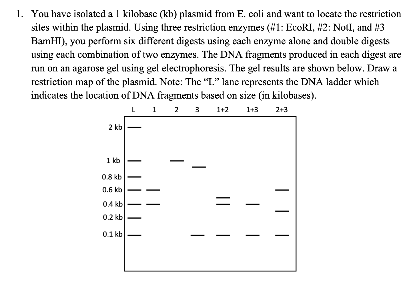Solved You have isolated a 1 kilobase (kb) plasmid from E. | Chegg.com