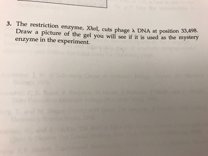 The Restriction Enzyme Xhoi Cuts Phage Lambda Dna 2395