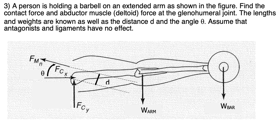 Solved 3) A person is holding a barbell on an extended arm | Chegg.com