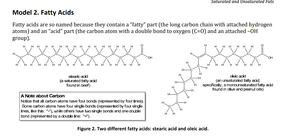 Solved Model 2. Fatty Acids Fatty acids are so named because | Chegg.com