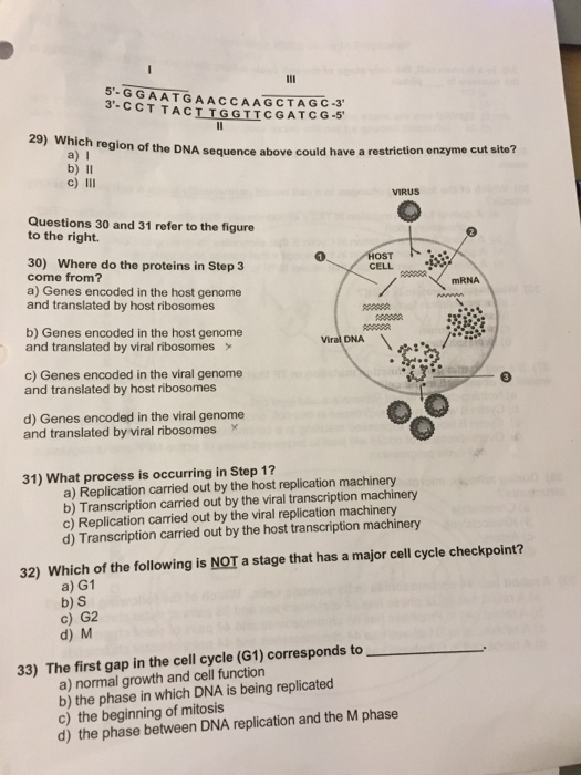 Solved To Analyze A Genomic Region That Contains A 5 At 3 Chegg Com