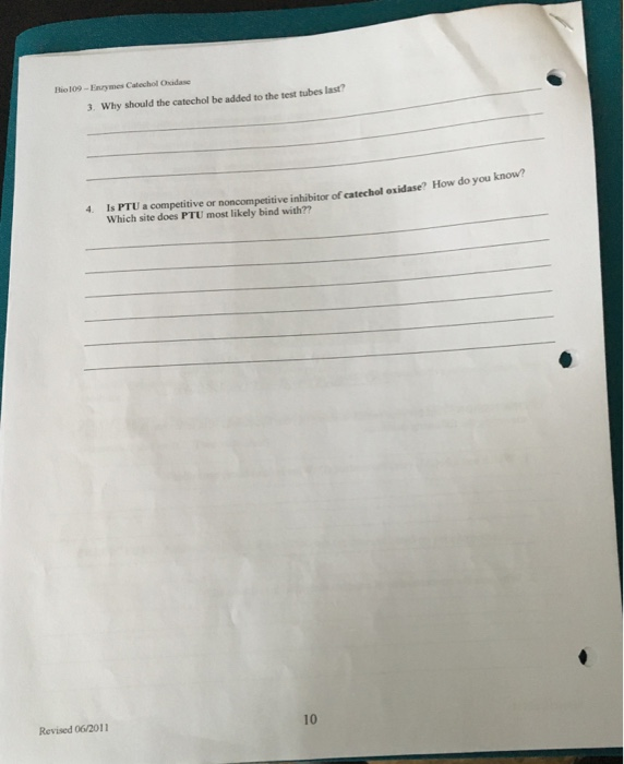 Solved ENZYMES: BIOLOGICAL CATALYSTS INTRODUCTION Of all the | Chegg.com