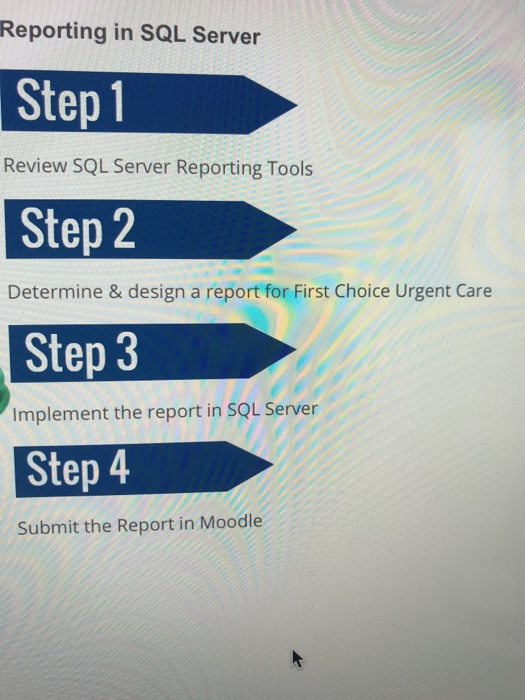 Reporting in SQL Server Step 1 Step 2 Step 3 Step 4 | Chegg.com