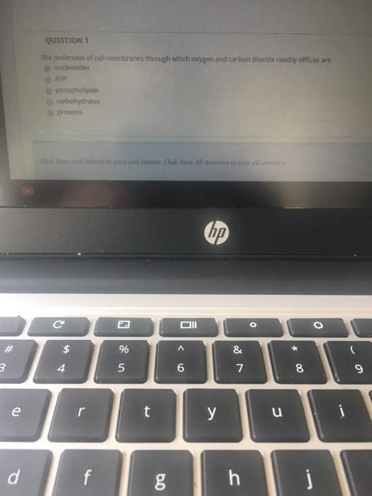 Solved QUESTION 1 The molecules of cell membranes through | Chegg.com