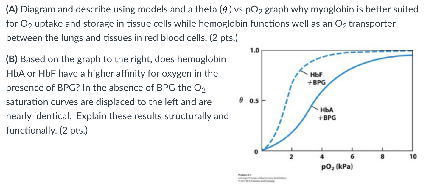 Solved (A) Diagram and describe using models and a theta (0) | Chegg.com