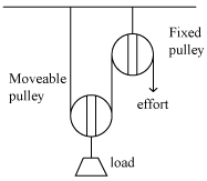 Solved In the compound pulley pictured below, how many | Chegg.com