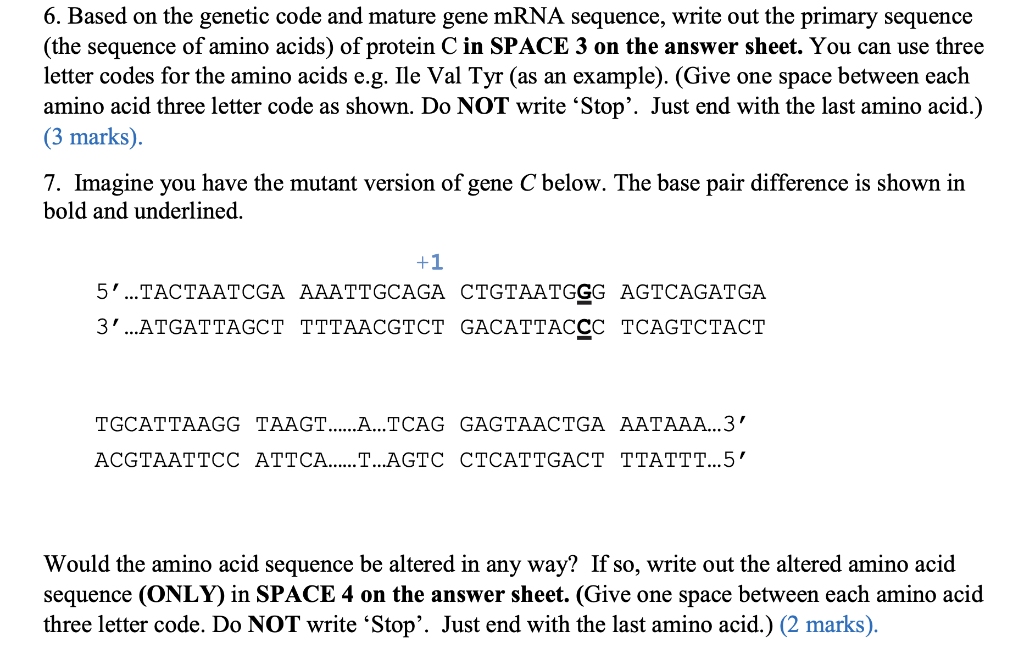 Solved 1. Based on what you know about the genetic code, | Chegg.com