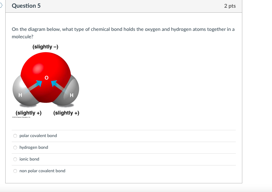 solved-question-5-2-pts-on-the-diagram-below-what-type-of-chegg