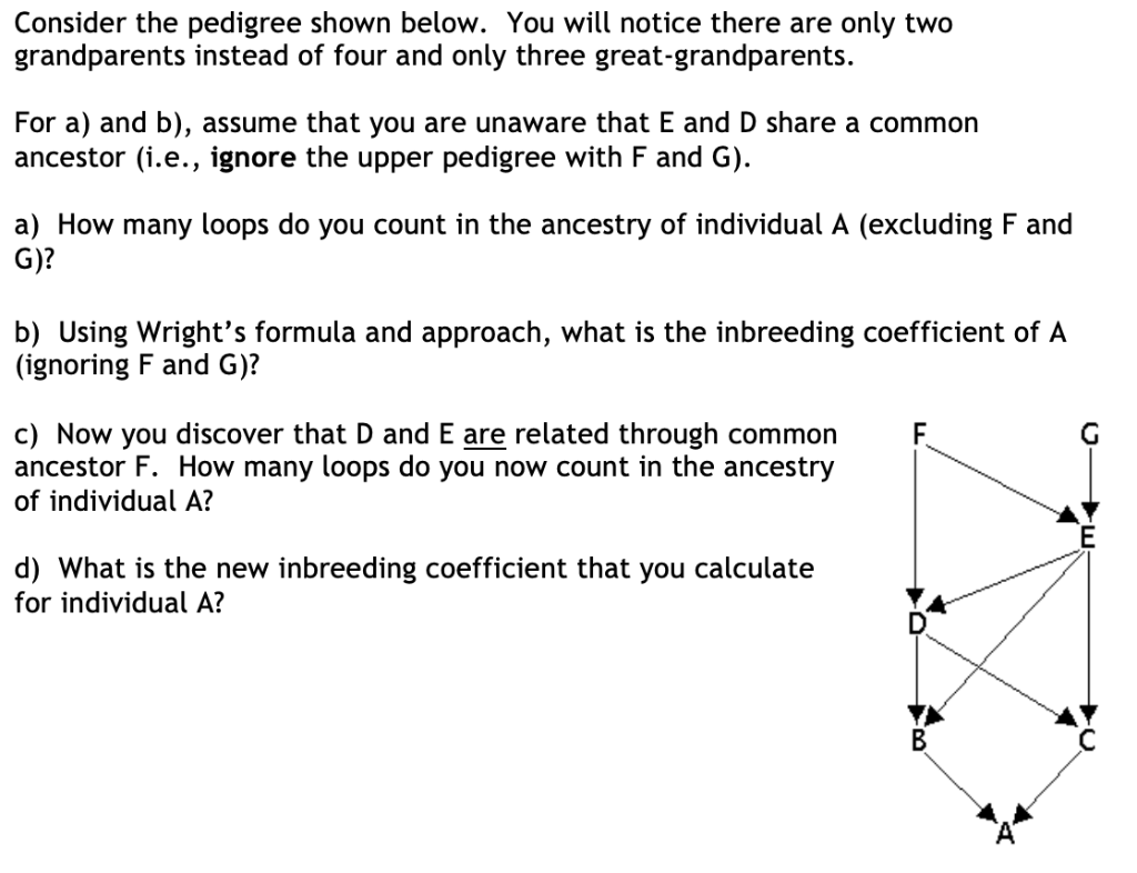 Solved Consider The Pedigree Shown Below. You Will Notice | Chegg.com