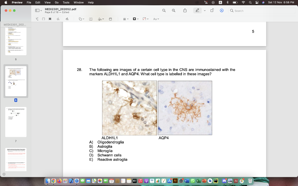 Solved 8. The Following Are Images Of A Certain Cell Type In | Chegg.com